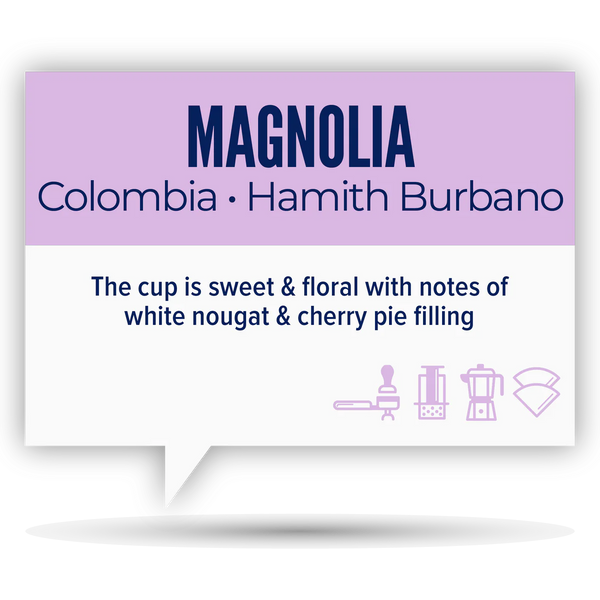 Quietly Coffee - Magnolia, Peru Olga Calle 340g (12oz)