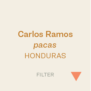 Bows & Arrows- Honduras Carlos Ramos Pacas 300g (10.5oz)