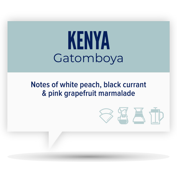 Quietly Coffee - Kenya Gatomboya 340g (12oz)