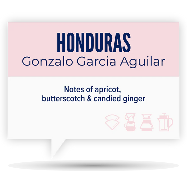 Quietly Coffee - Honduras, Gonzalo Garcia Aguilar 340g (12oz)